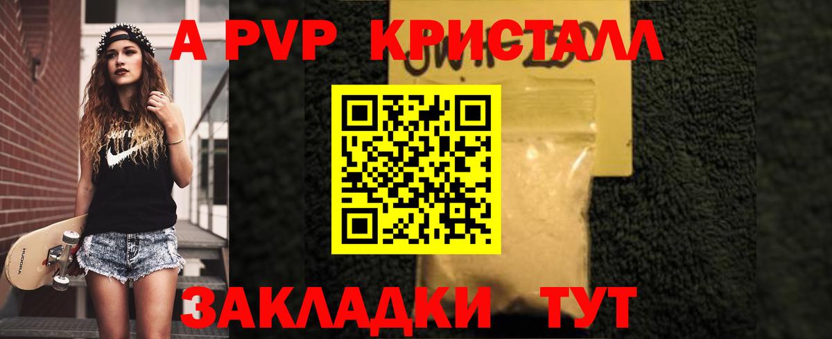 A PVP СК Новороссийск