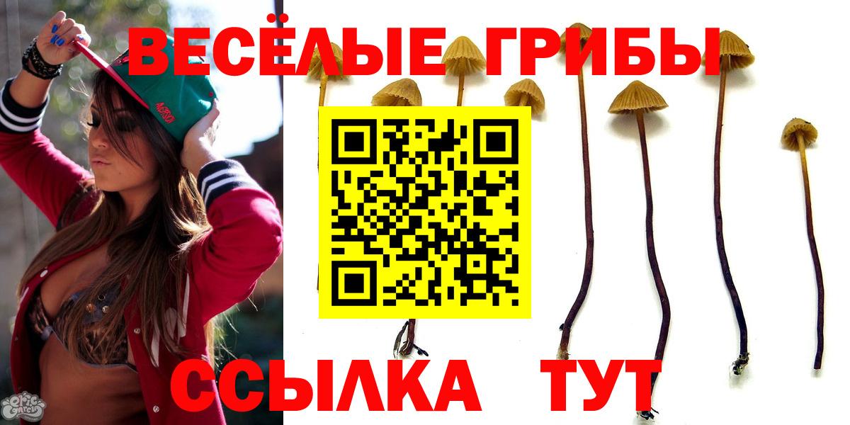 Псилоцибиновые грибы GOLDEN TEACHER Новороссийск